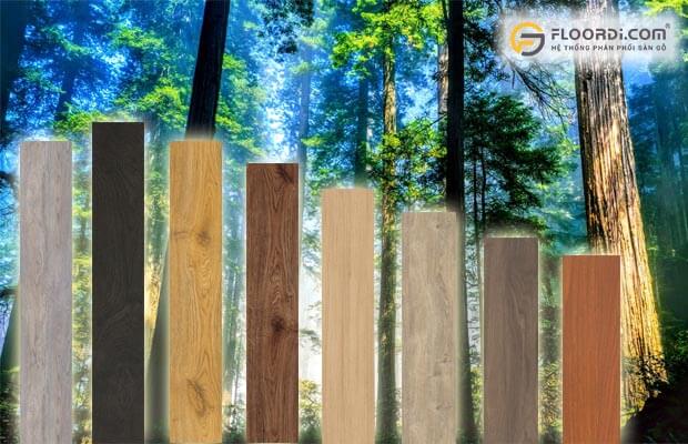 Cốt gỗ Hillman được lấy từ rừng nhiệt đới tại Malaysia
