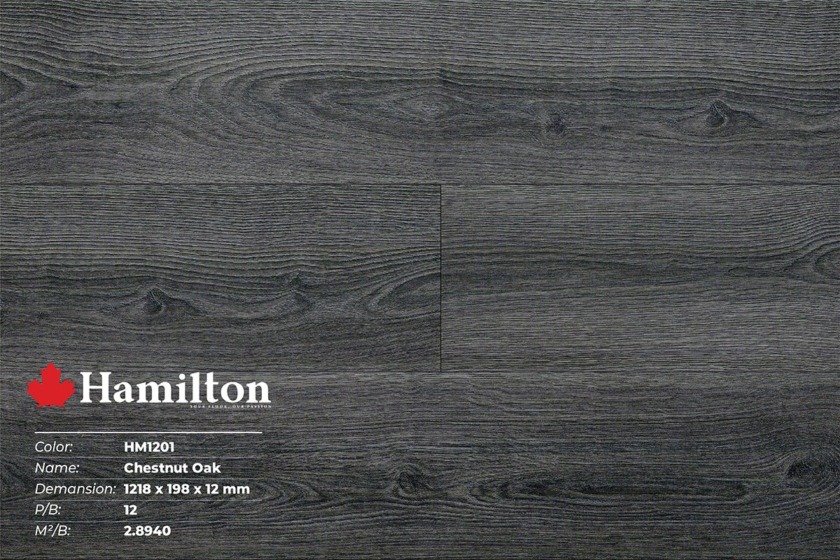 Sàn gỗ công nghiệp giá rẻ Hamilton - HM1201