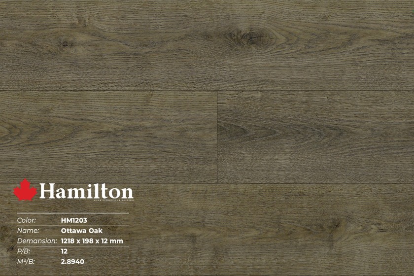 Sàn gỗ công nghiệp giá rẻ Hamilton - HM1203