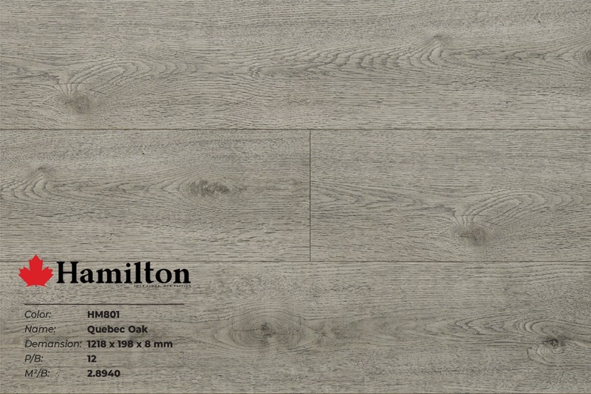 Sàn gỗ công nghiệp giá rẻ Hamilton - HM801