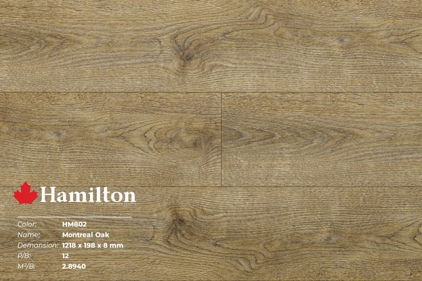 Sàn gỗ công nghiệp giá rẻ Hamilton - HM802