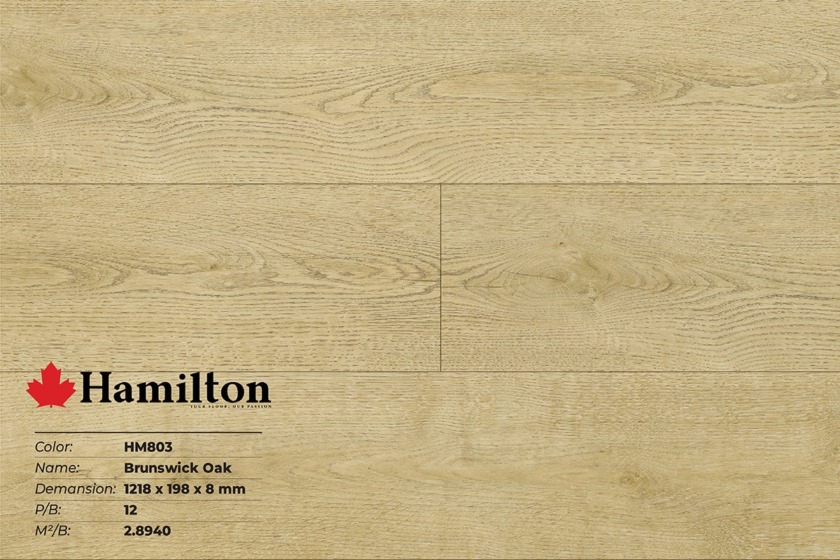 Sàn gỗ công nghiệp giá rẻ Hamilton - HM803