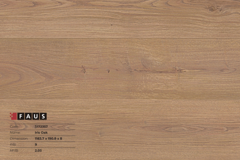 Sàn gỗ Tây Ban Nha Faus S172357