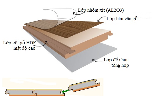 Cấu tạo sàn gỗ An Cường với 4 lớp cơ bản