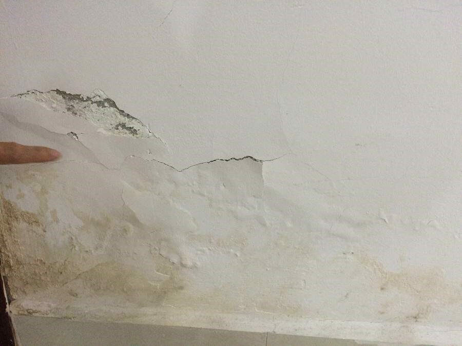Tường sơn dễ bị ẩm mốc và bong tróc sau một thời gian sử dụng